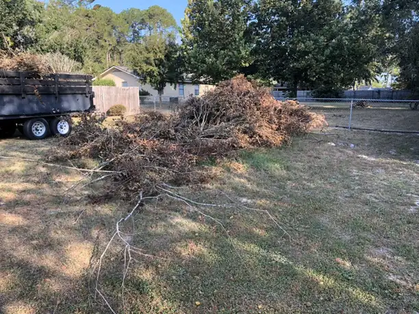 Debris removal by Junk Doctor in Valdosta
