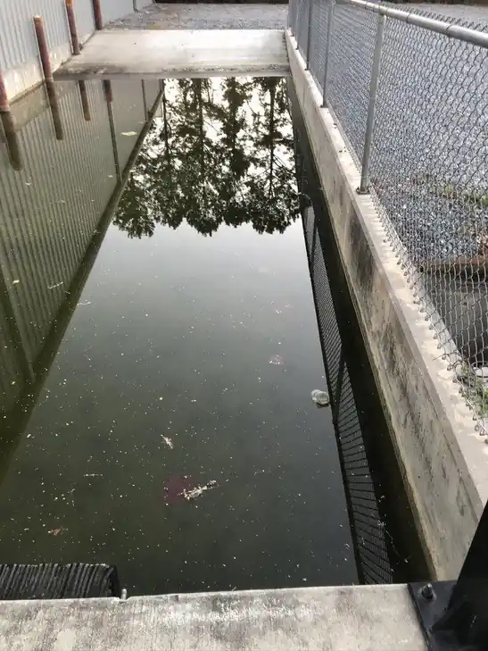 Flooded concrete pit behind chain-link fencing before Junk Doctor cleared it